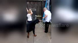 4-year-old girl's very sweary reaction during balloon pop gender reveal