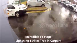 Lightning Strikes Tree Incredible Footage Caught on Car Camera