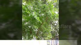 value photography especially of beginners