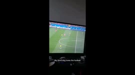 My blind dog loves the football https://t.co/1ov6L6FVtJ