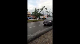 Lad seen riding a buffalo down the street