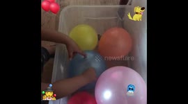Learn colors with balloons 