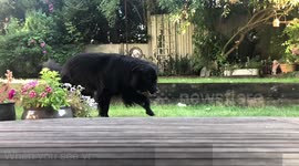 When you see your crush walk past