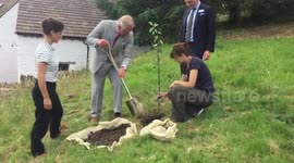 Prince Charles plants tree as part of Wales tour
