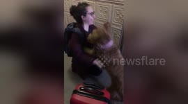 Dog’s reaction to seeing owner’s sister for the first time in months will make you smile