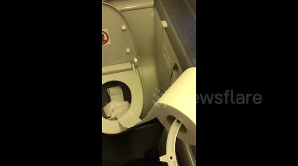 Boeing 737 plane's powerful toilet swallows toilet paper roll