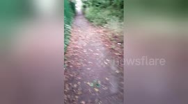 Newsflare Edit - I found a Stolen motorbike  (london reg number ( LF64 FZW)