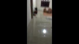 not accepted at his dream school eventually died