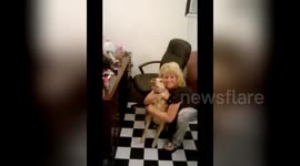 Newsflare Edit - Dog bites girls nose off