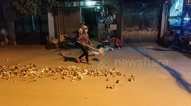 Work smarter, not harder! Recycling lady uses passing TRUCK to crush cans