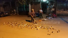 Work smarter, not harder! Recycling lady uses passing TRUCK to crush cans