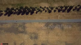 The once lush green landscape of England is turning brown following a two week heatwave
