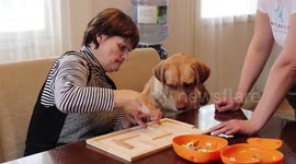Woman born with Cerebral Palsy has strong bond with therapy dog