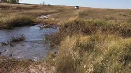 Rental Car on a Hunting Trip...equals this.