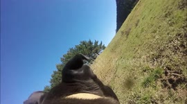 Dog shoots his first video