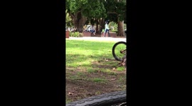 Big Pussy Cat On a Skateboard at the park