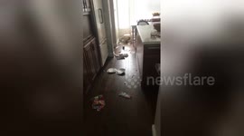 Newsflare Edit - Ranger Gets Busted