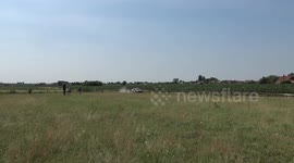 Rally car goes out of a corner and comes to a complete stop.