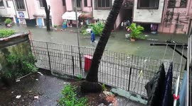 ###sai baba##mandir##vishal nagar##ambadi road##vasai west#####sai baba##mandir##vishal nagar##ambadi road##vasai west##mumbai#india