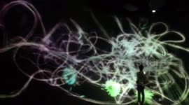 TeamLab Borderless exhibit in Tokyo.