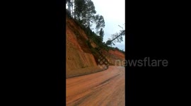 Moment landslide uproots trees in Indonesia