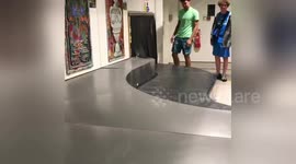 Newsflare Edit - Budgies home and footballs coming home #ComeOnEngland