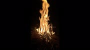 temp