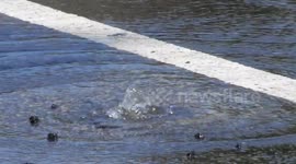 Water main leak bubbling up to the surface as cars pass by by jim connor