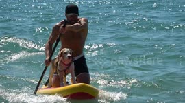 UK's first dog surfing championships takes place in Poole