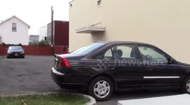 FAILED BACKFLIP OVER CAR