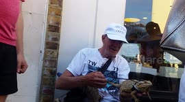 Lizards Enjoy The Heat In Greenwich