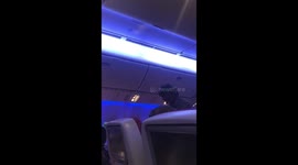 Beggar in the flight