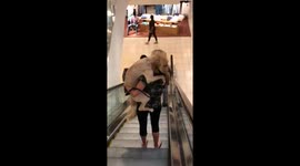 This dog is definitely not a fan of escalators