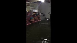 Come on in, the water's warm! Dad shows off his 'private pool' as Typhoon Henry hits Philippines