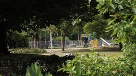 Police investigating the second major incident in Salisbury are beginning to search Queen Elizabeth Gardens in Salisbury