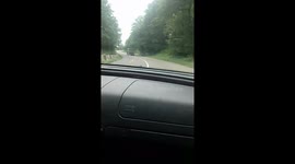 Travelling by Autostop to the mountains