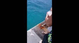 Spreading a loved one's ashes