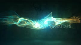 Fox Caught out on camera