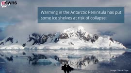 Collapse of Antarctic ice shelves 'would raise global sea levels by an inch - threatening coastal towns and cities'