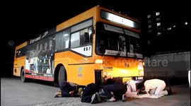 Fare dodging snake caught hiding under a bus