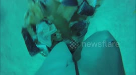 This is what it looks like to be at the centre of a shark feeding frenzy