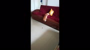 temp