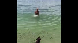 Pup gives baby sister swimming lesson