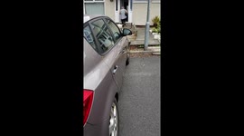 Marley, the springer spaniel, likes being helpful so this is a video of him trying to work out how to carry a bag using the handles