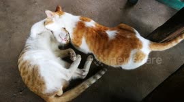 Just when son want mom to say SLEPE WELL DARLING