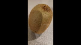 Grandpa shoots video for kiwi challenge, It's kiki not kiwi he is hard of hearing