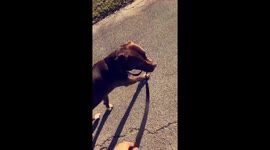 No mom I walk myself