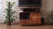 temp