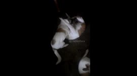 Reunited with daughter