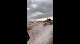 raining of rice in uae